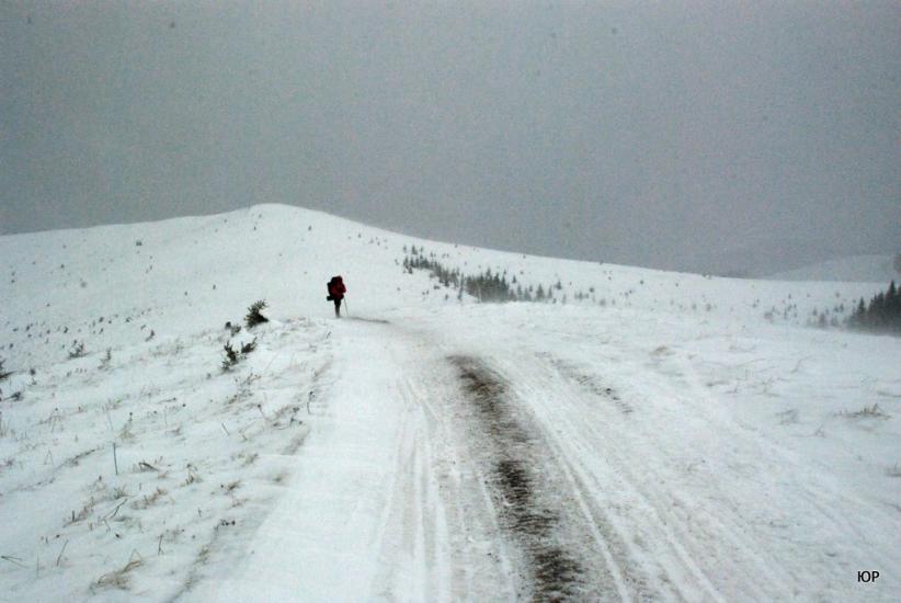 Стебний з panoramio.com - Стебний