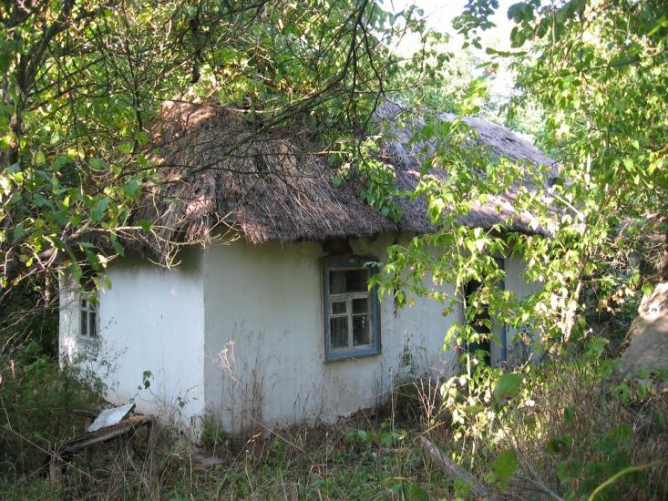 Пекарі з panoramio.com - Пекарі