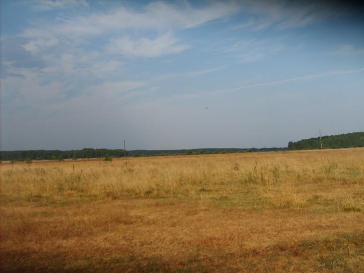 Орликівка з panoramio.com - Орликівка