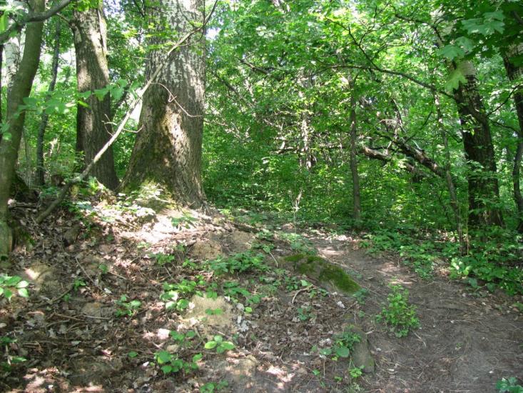 Гавронці з panoramio.com - Гавронці