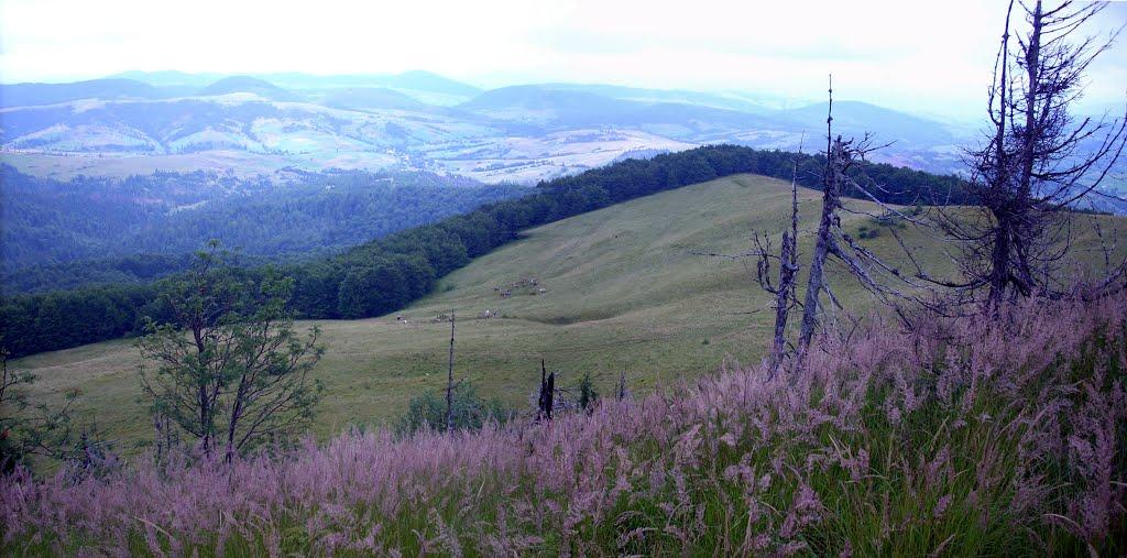 Розтока з panoramio.com - Ростока