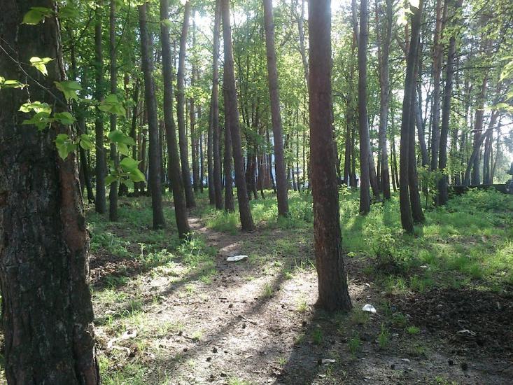 Саварка з panoramio.com - Саварка