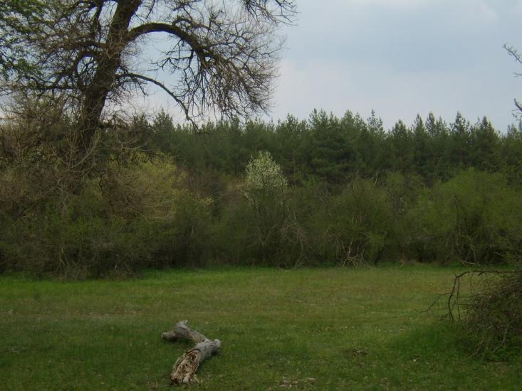 Пурдівка з panoramio.com - Пурдівка