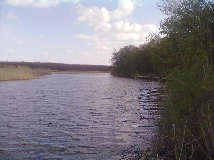 Усть-Лип'янка з panoramio.com - Усть-Лип'янка