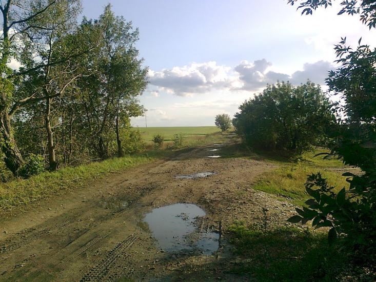 Люлинці з panoramio.com - Люлинцы
