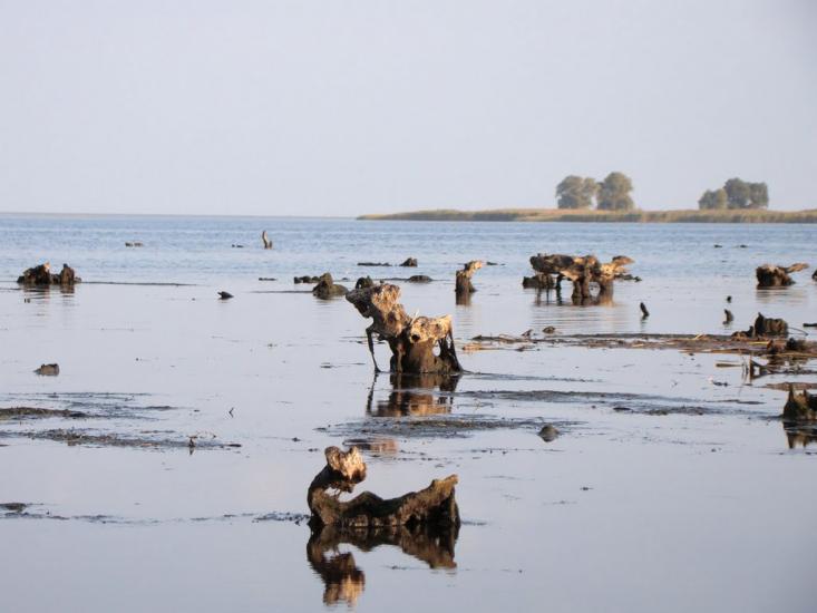 Кедина Гора з panoramio.com - Кедина Гора