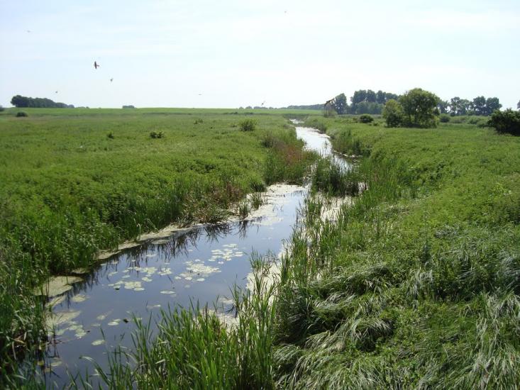 Русанів з panoramio.com - Русанов