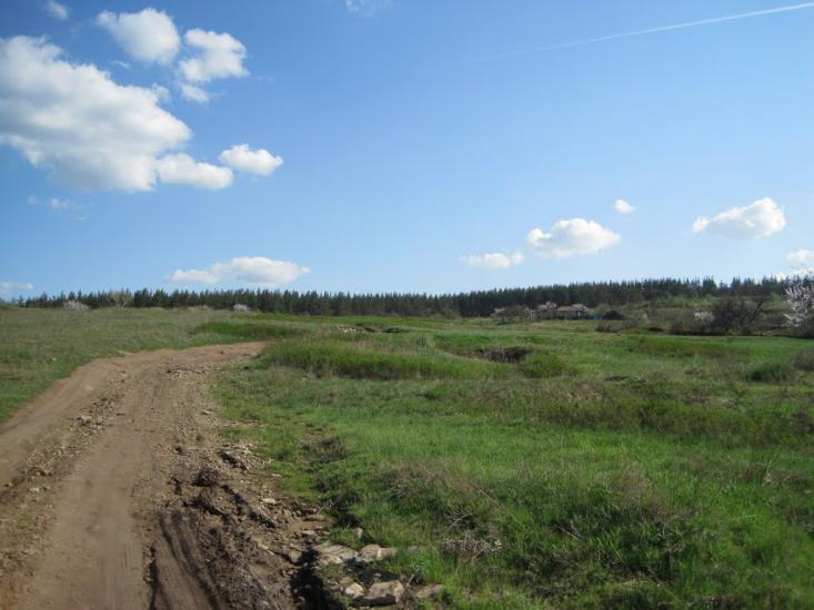 Бугаївка з panoramio.com - Бугаевка