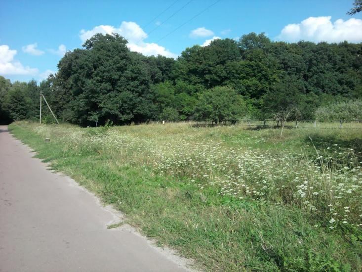 Малинівка з panoramio.com - Малиновка