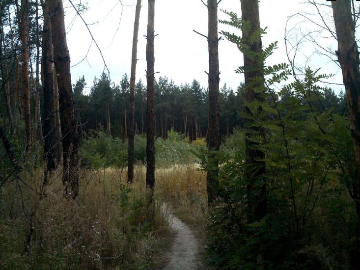 Ківшарівка з panoramio.com - Ківшарівка