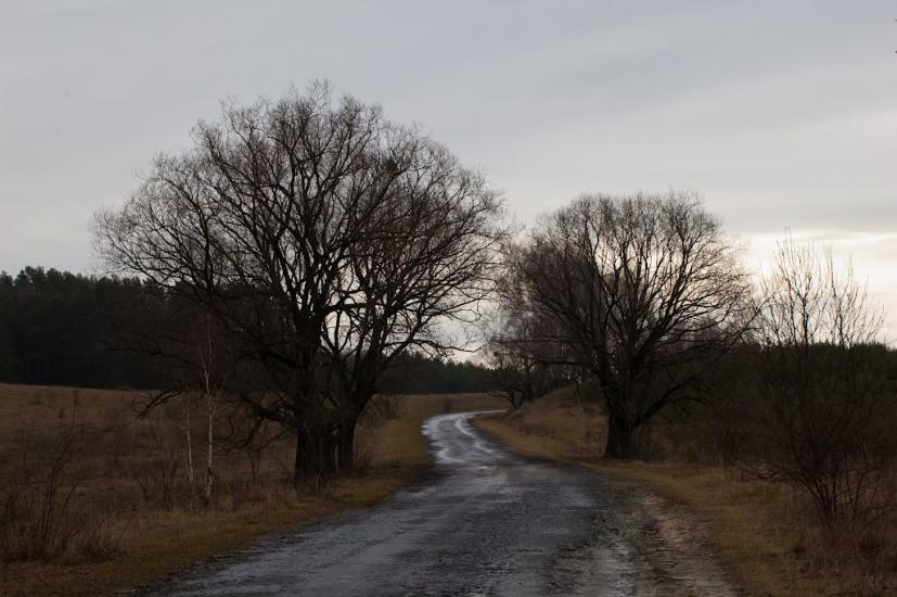 Грядки з panoramio.com - Грядки