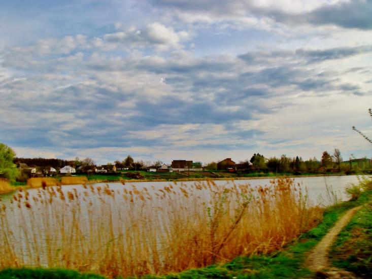Тараща з panoramio.com - Тараща