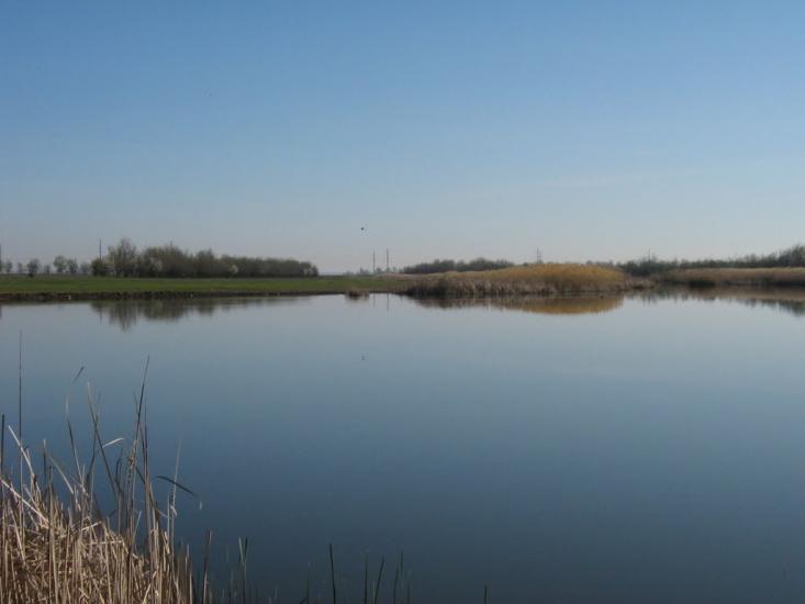 Великоолександрівка з panoramio.com - Velykooleksandrivka