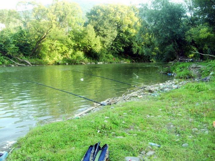 Пасіка з panoramio.com - Пасіка