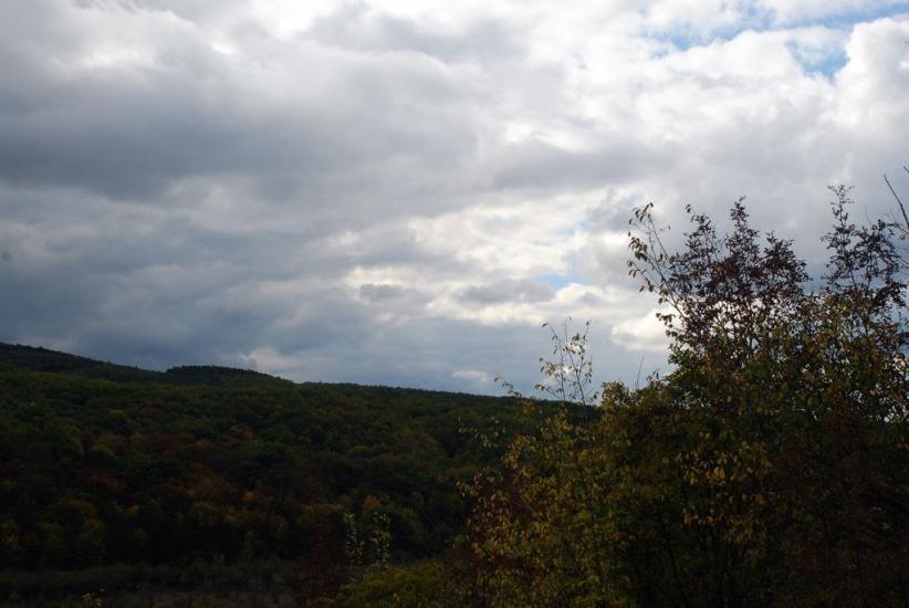 Щасливе з panoramio.com - Schaslyve