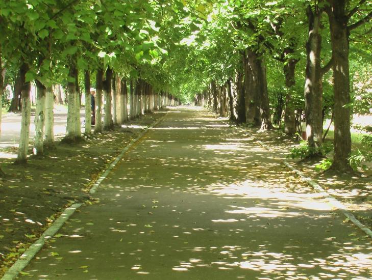 Озерне з panoramio.com - Озерне