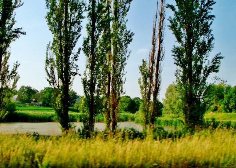 Ківшовата з panoramio.com - Ковшеватая