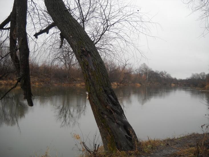 Довге з panoramio.com - Довге