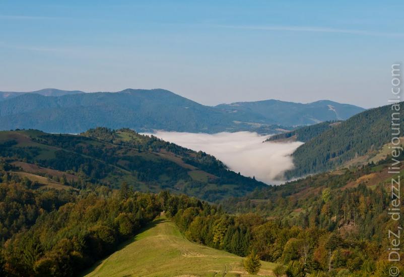 Стригальня з panoramio.com - Стригальняя
