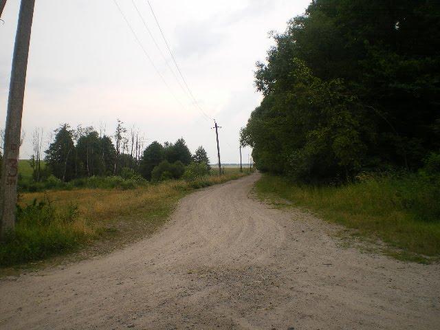 Черепашинці з panoramio.com - Cherepashyntsi