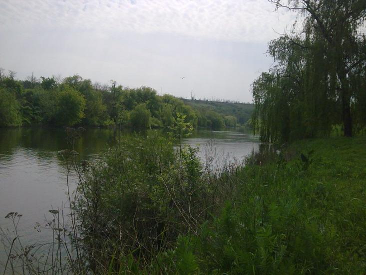 Новокурське з panoramio.com - Новокурське