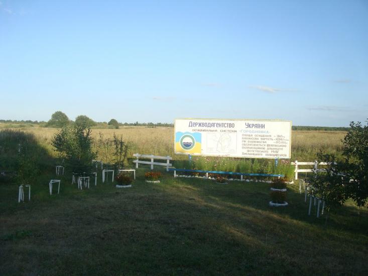 Дубіївка з panoramio.com - Дубіївка