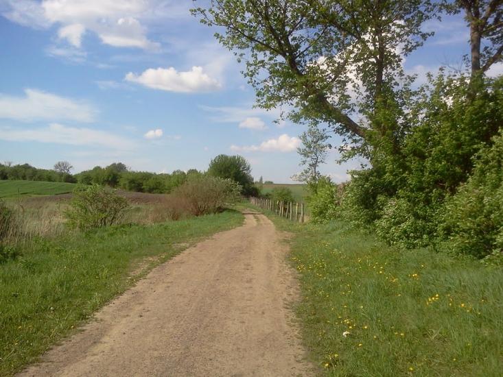 Тарасове з panoramio.com - Тарасове