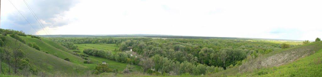 Донецьке з panoramio.com - Donetske