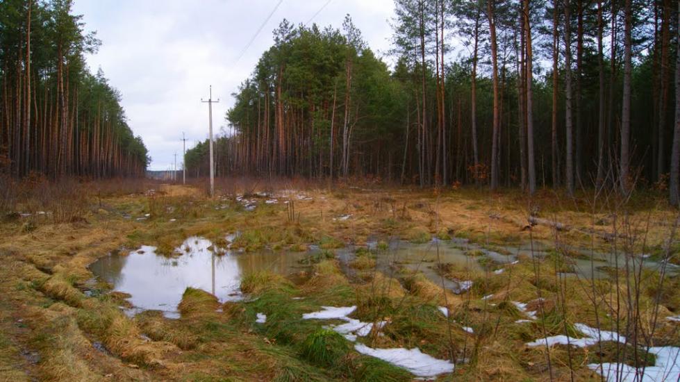 Дідовичі з panoramio.com - Дедовичи