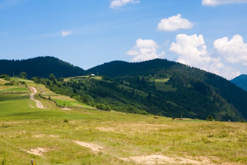 Репинне з panoramio.com - Repynne