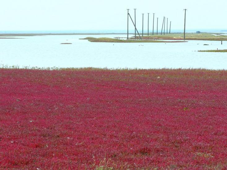 Соляне з panoramio.com - Соляное