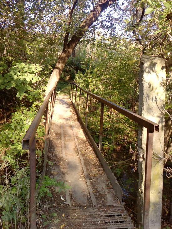 Подвір'ївка з panoramio.com - Подворьевка
