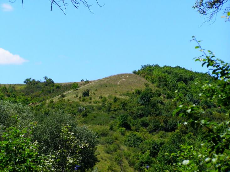 Пришиб з panoramio.com - Пришиб