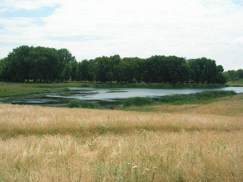 Комуна з panoramio.com - Комуна
