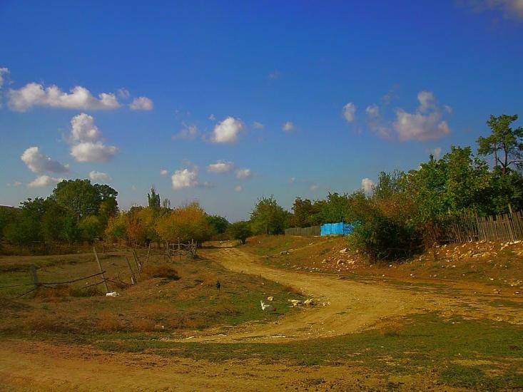 Рєпіне з panoramio.com - Рєпіне