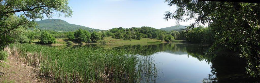 Сонячносілля з panoramio.com - Солнечноселье