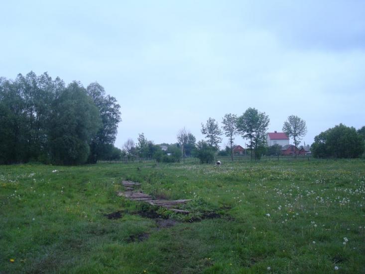 Малашівці з panoramio.com - Малашевцы