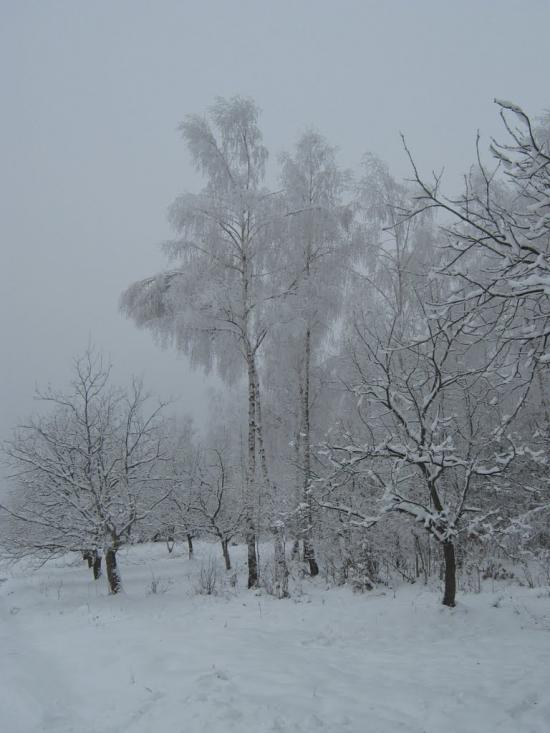 Дебеславці з panoramio.com - Дебеславцы