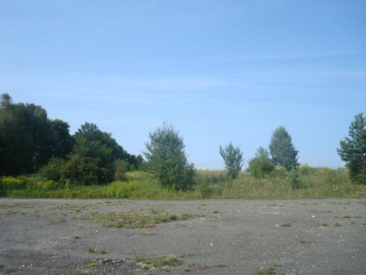 Шпиколоси з panoramio.com - Шпиколоси