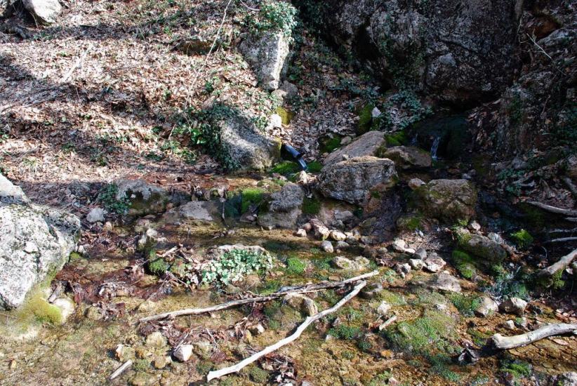 Родниківське з panoramio.com - Родниковское