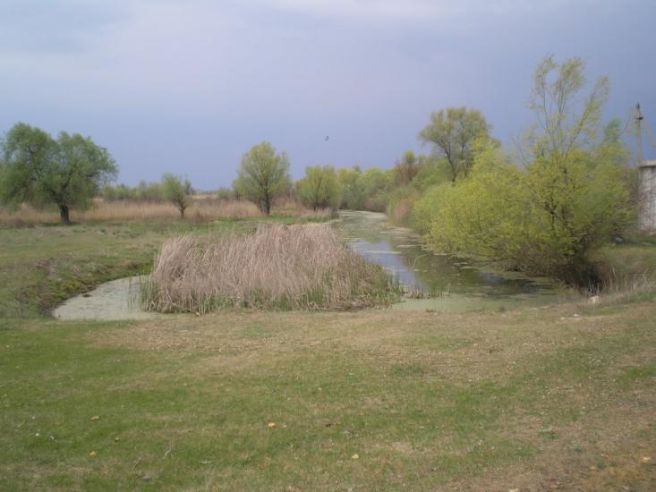 Піщанівка з panoramio.com - Піщанівка