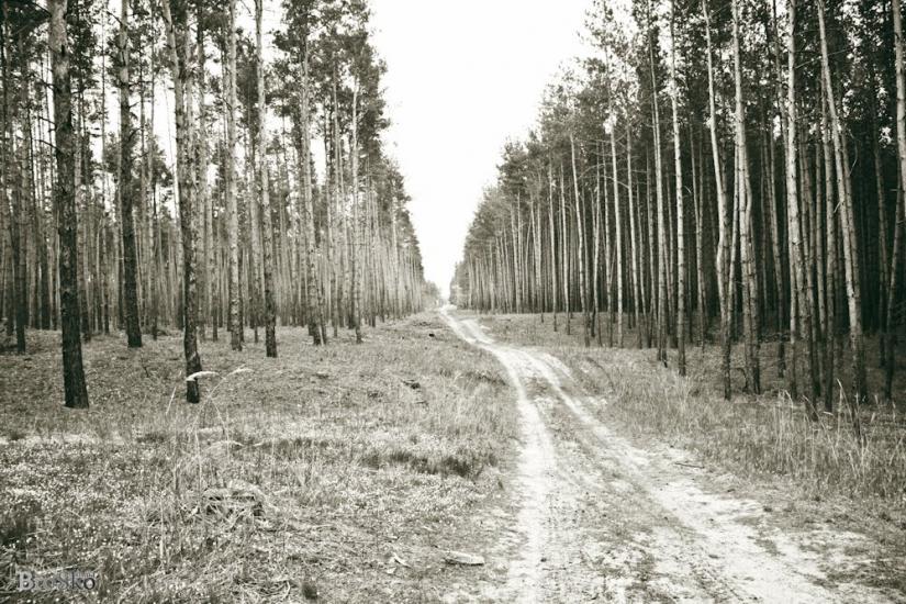 Крейдянка з panoramio.com - Крейдянка