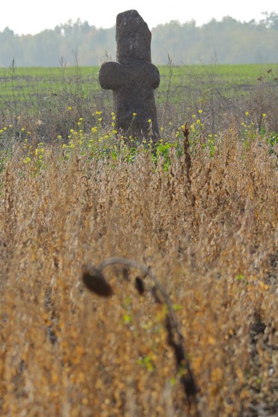 Карбівське з panoramio.com - Karbivske