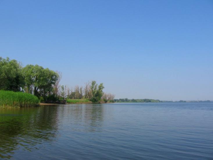 Кривуші з panoramio.com - Кривуши
