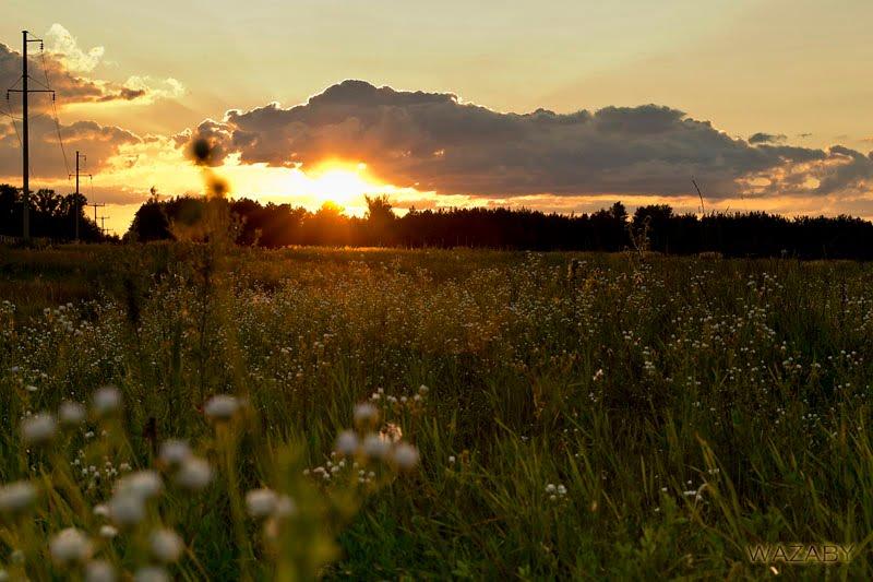 Власівка з panoramio.com - Власовка