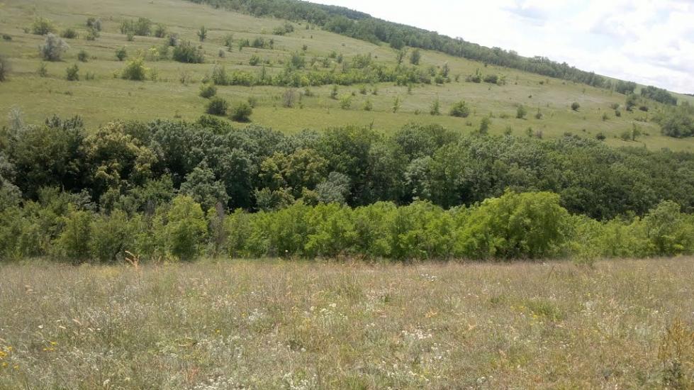 Безгинове з panoramio.com - Безгинове