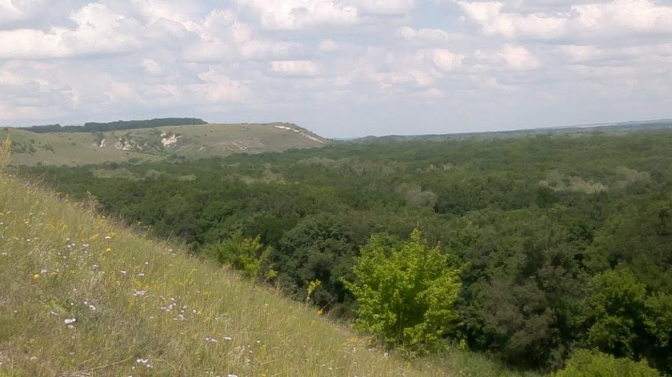 Бахмутівка з panoramio.com - Бахмутовка