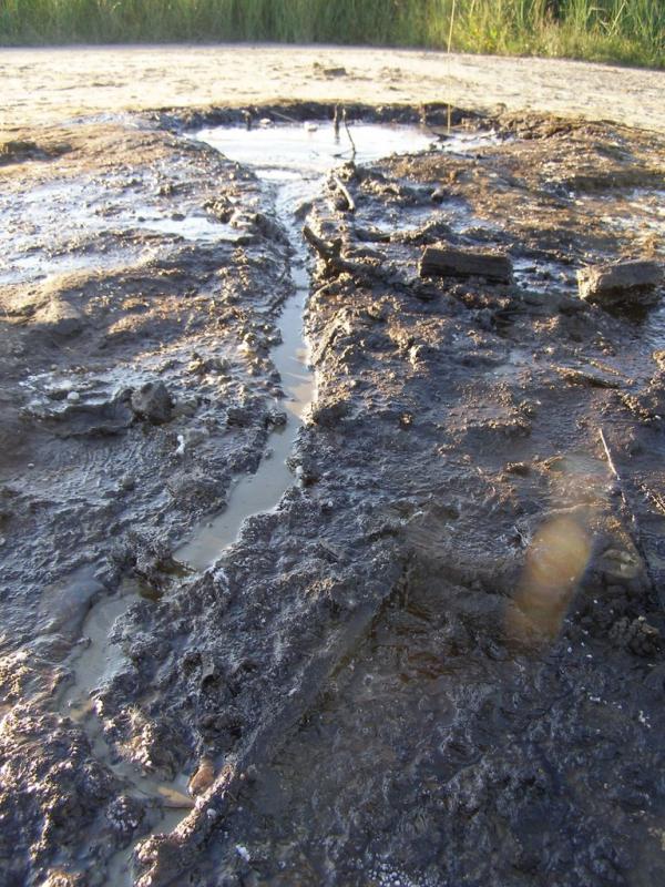 Старуня з panoramio.com - Старуня