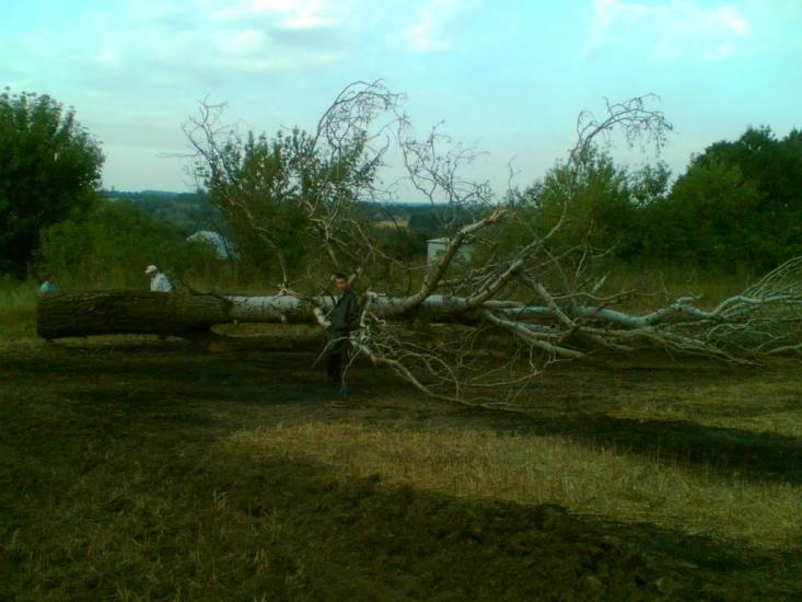Сінне з panoramio.com - Сенное