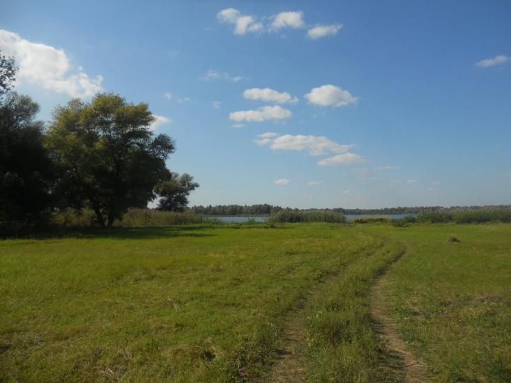 Карнаухівка з panoramio.com - Карнаухівка